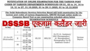 DSSSB Exam Calendar 2025