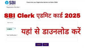 SBI Clerk Admit Card 2025