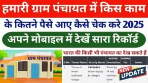 Gram Panchayat Budget Work Progress Report Check