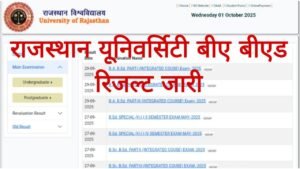 Rajasthan University BA BED Result 2025