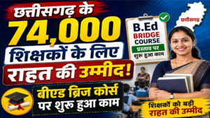B.Ed Bridge Course