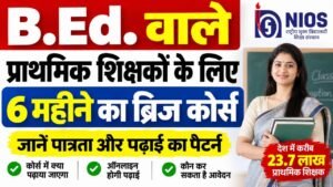 B.Ed. Primary Teachers Bridge Course